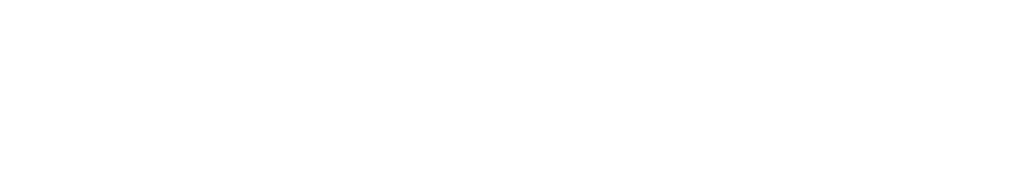 Troika_Logo_Reverse
